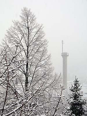 Schnee auf Bäumen in Rohrbach