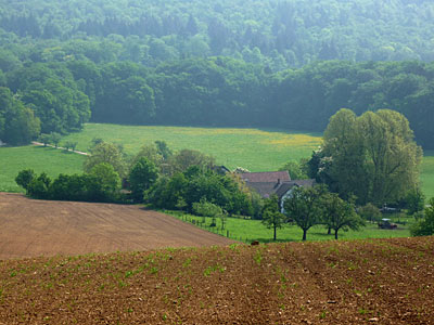 Die Wiese hinter dem Bierhelderhof